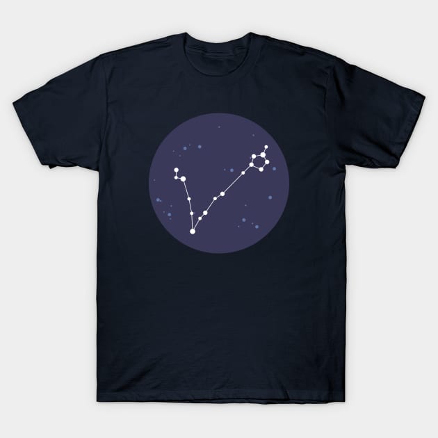 Pisces Constellation T-Shirt by aglomeradesign